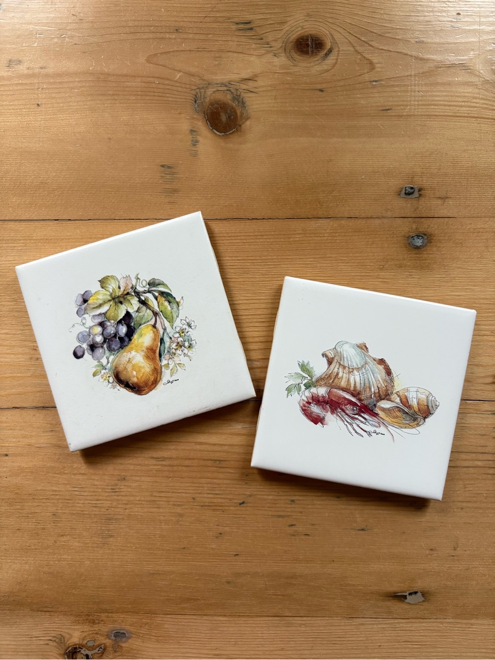 Set of 2 Decorative Ceramic Tiles with Fruit & Shell Illustrations